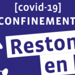 COVID19 : MESSAGES AUX AINES (J8)